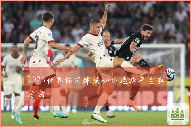 2026世界杯买球该如何选择平台和方式-