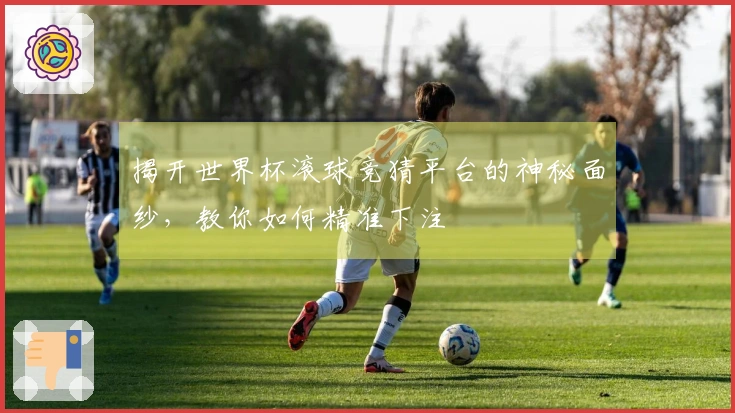 揭开世界杯滚球竞猜平台的神秘面纱，教你如何精准下注