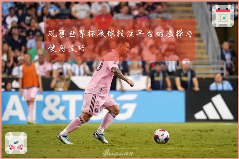 观察世界杯滚球投注平台的选择与使用技巧