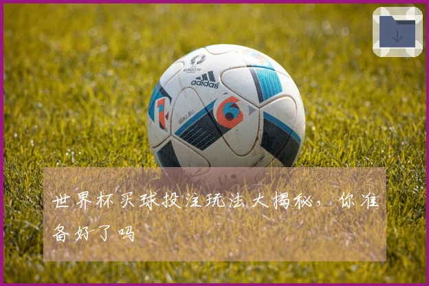 世界杯买球投注玩法大揭秘，你准备好了吗