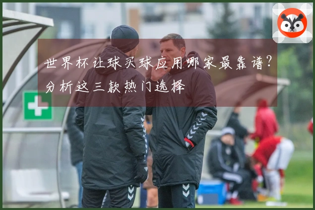 世界杯让球买球应用哪家最靠谱？分析这三款热门选择
